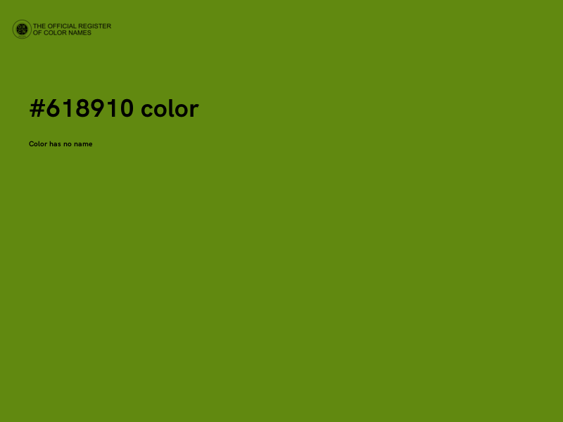 #618910 color image