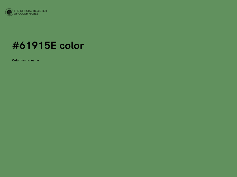 #61915E color image