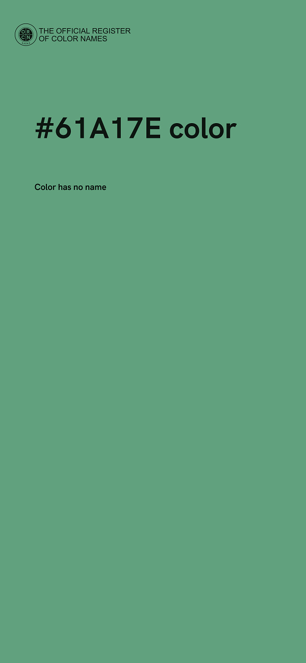 #61A17E color image