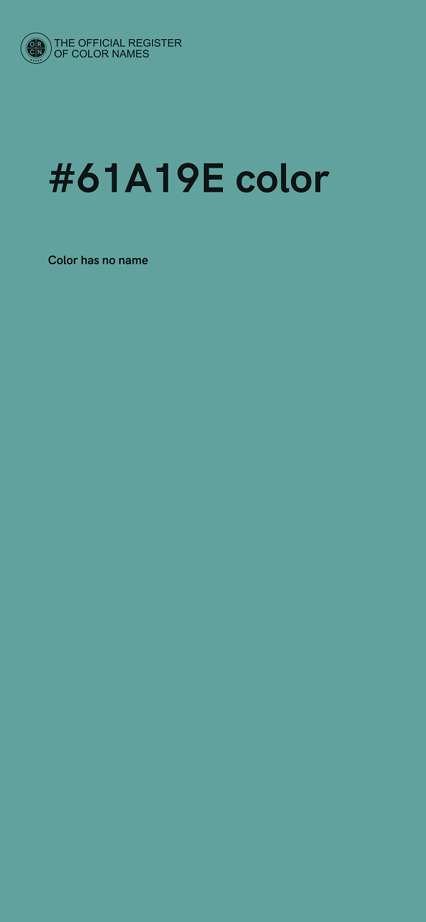 #61A19E color image