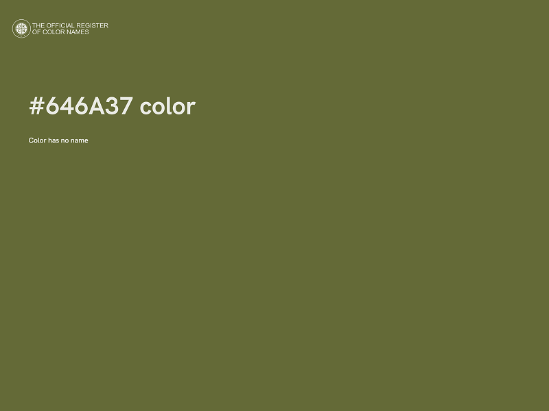 #646A37 color image