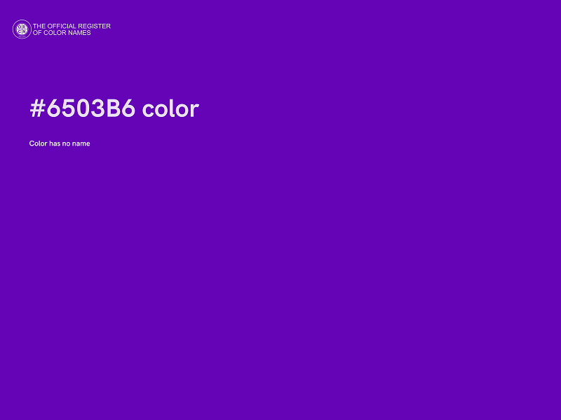 #6503B6 color image