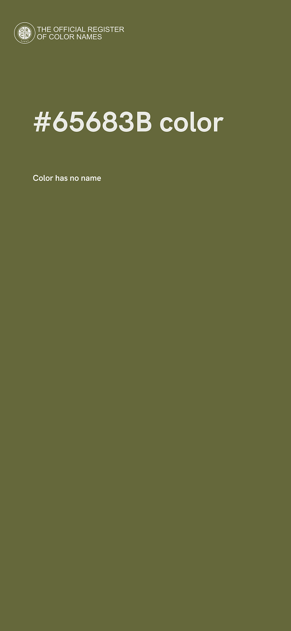 #65683B color image