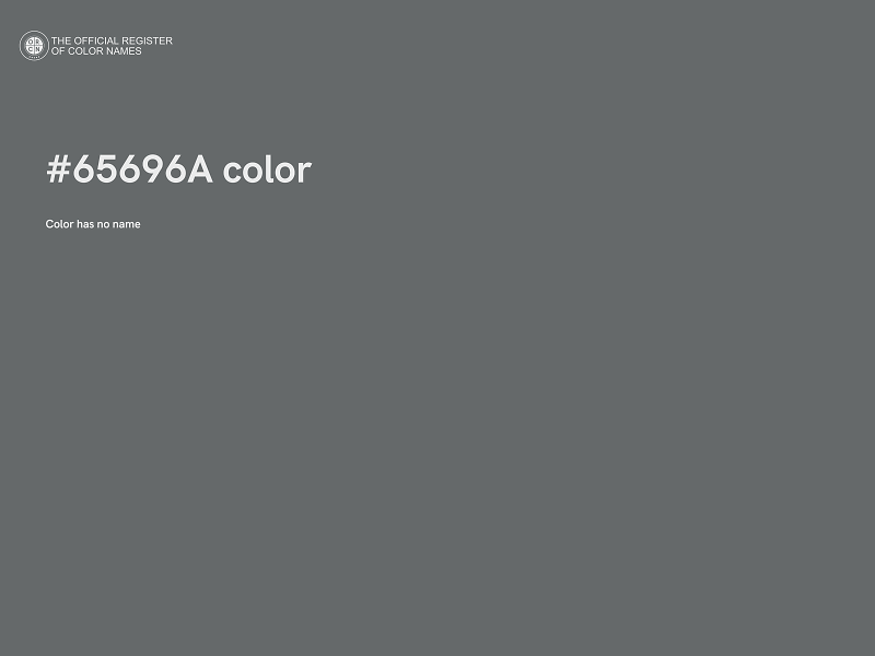 #65696A color image