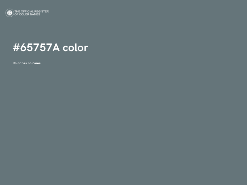 #65757A color image