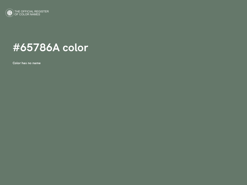 #65786A color image