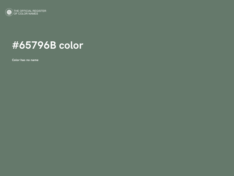 #65796B color image