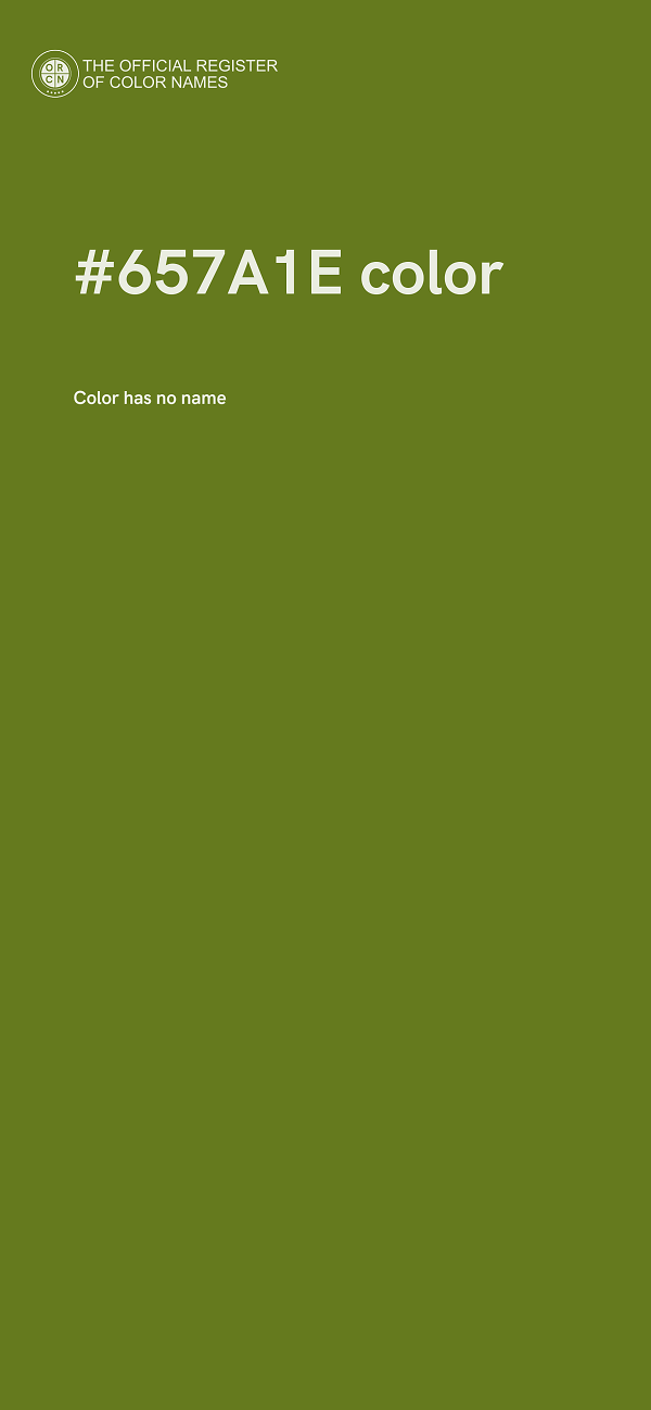 #657A1E color image