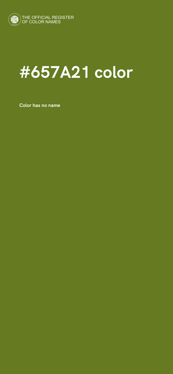 #657A21 color image