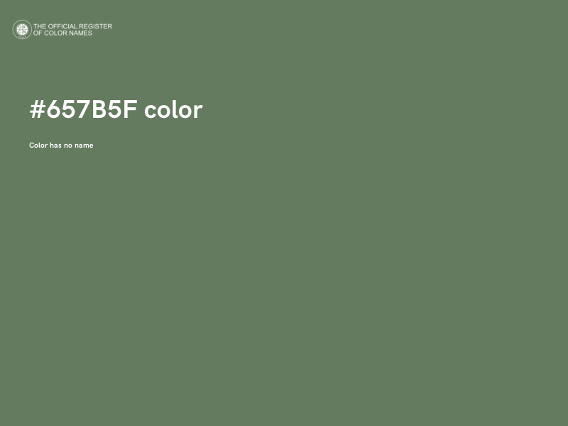 #657B5F color image