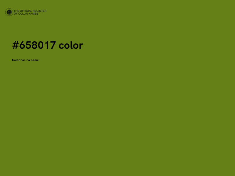 #658017 color image