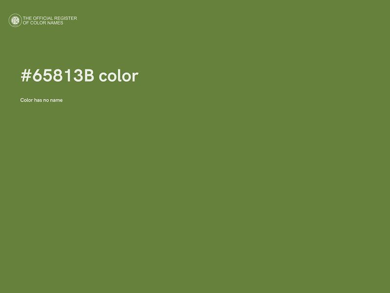 #65813B color image