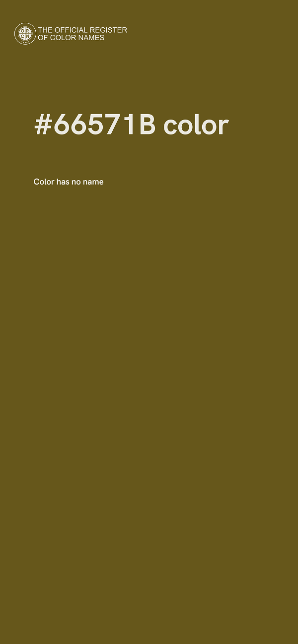 #66571B color image