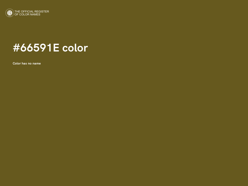 #66591E color image