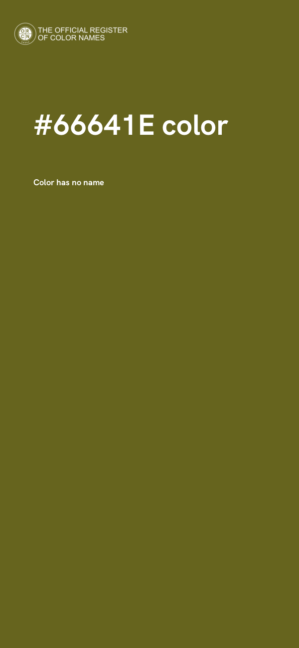 #66641E color image
