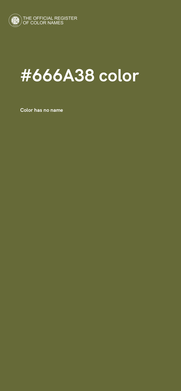 #666A38 color image
