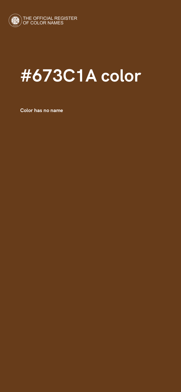 #673C1A color image