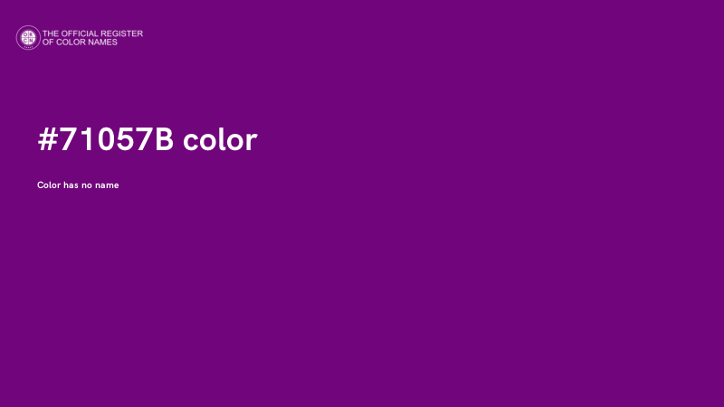 #71057B color image