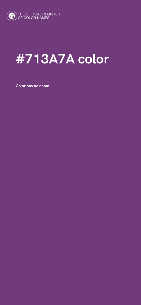 #713A7A color image