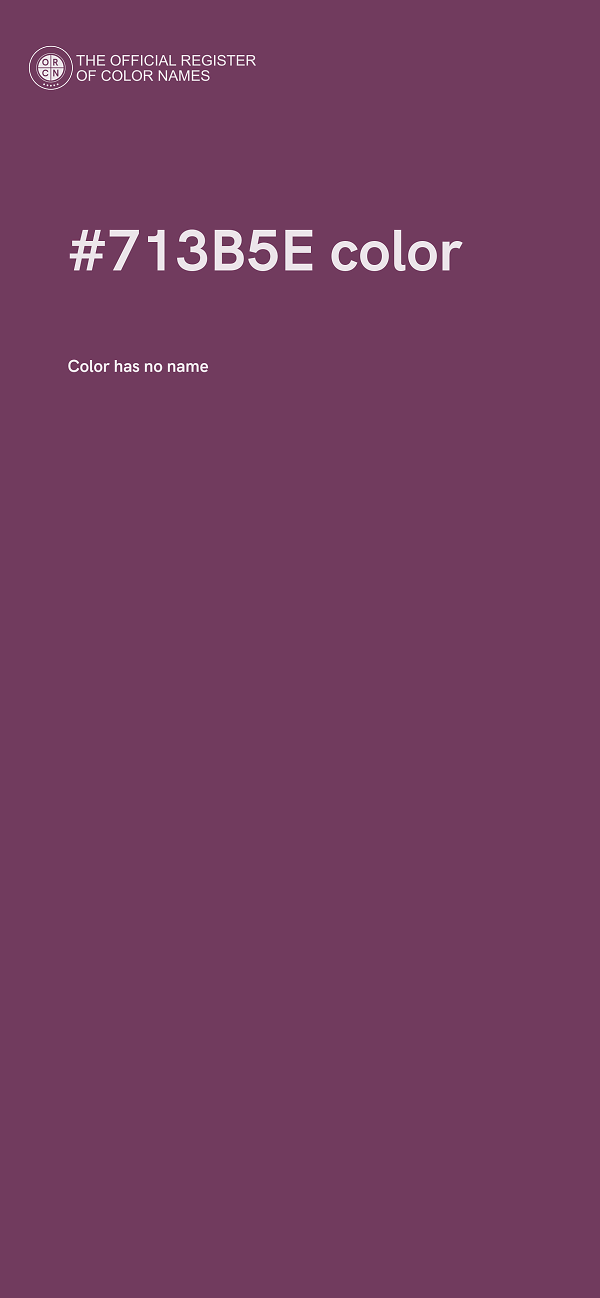 #713B5E color image