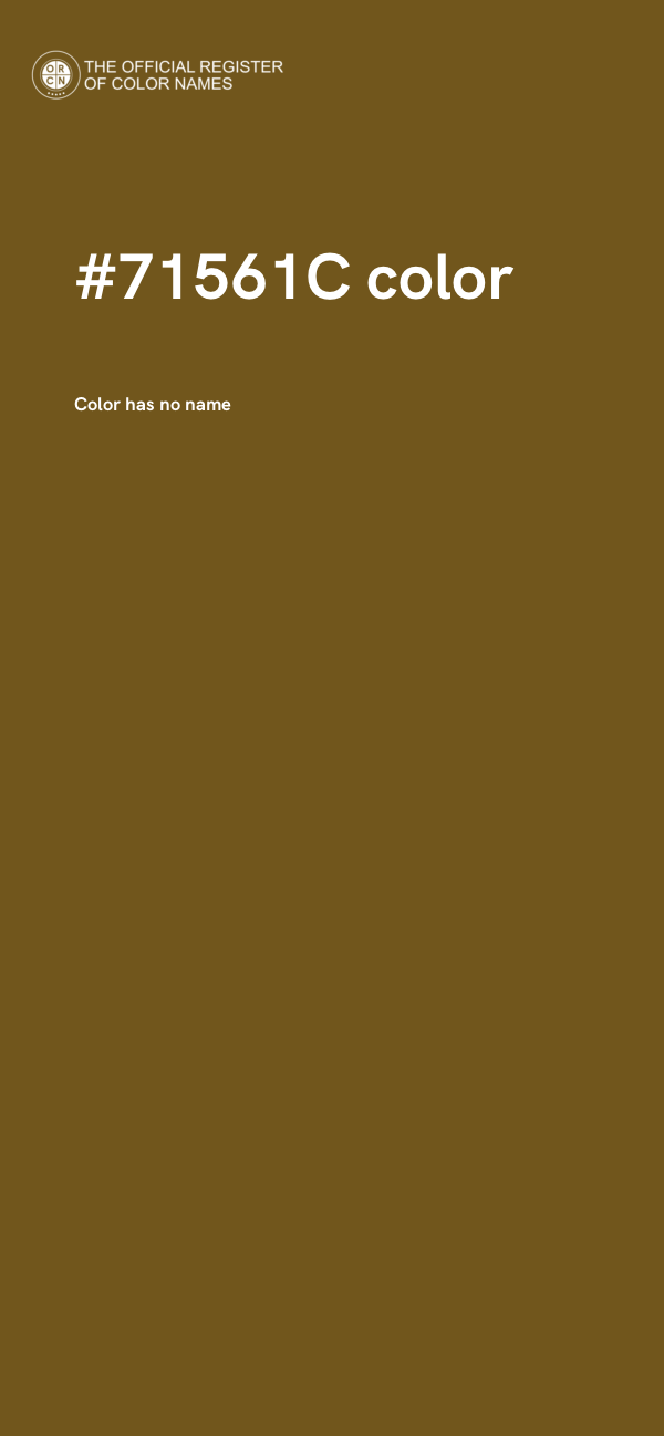 #71561C color image