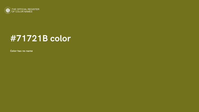 #71721B color image