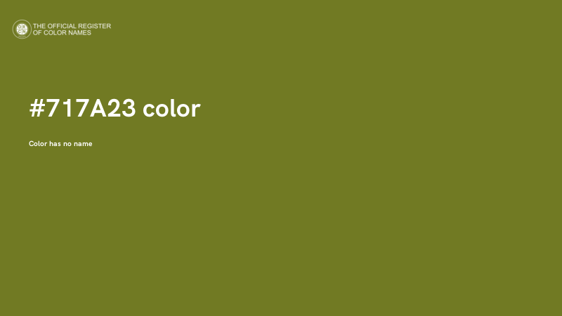 #717A23 color image