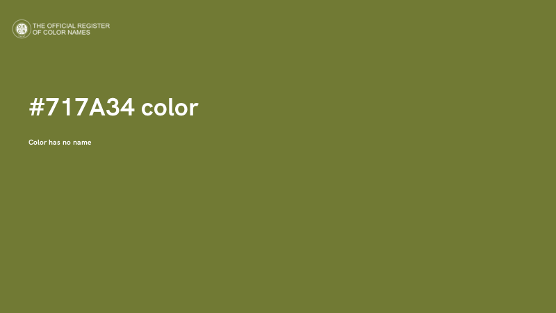 #717A34 color image