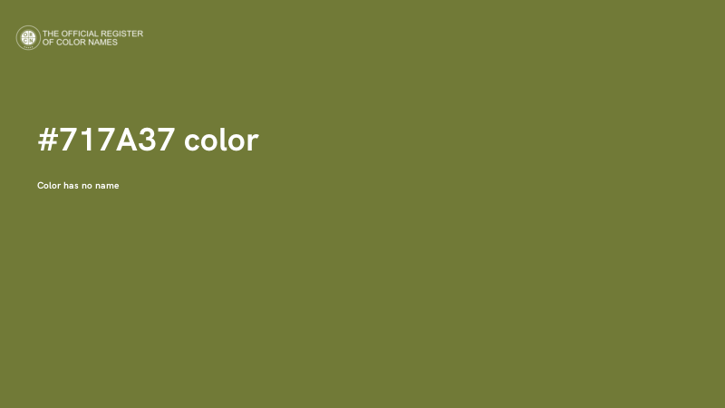 #717A37 color image