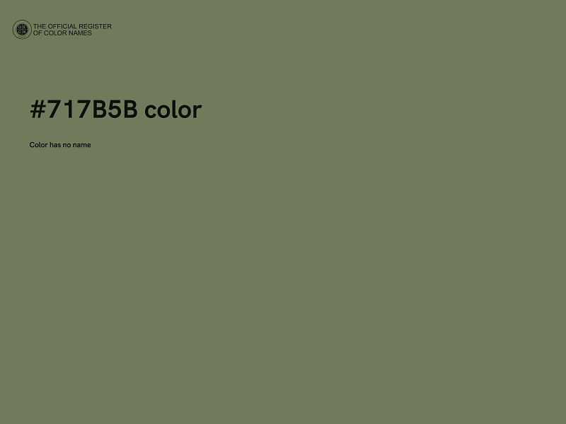 #717B5B color image