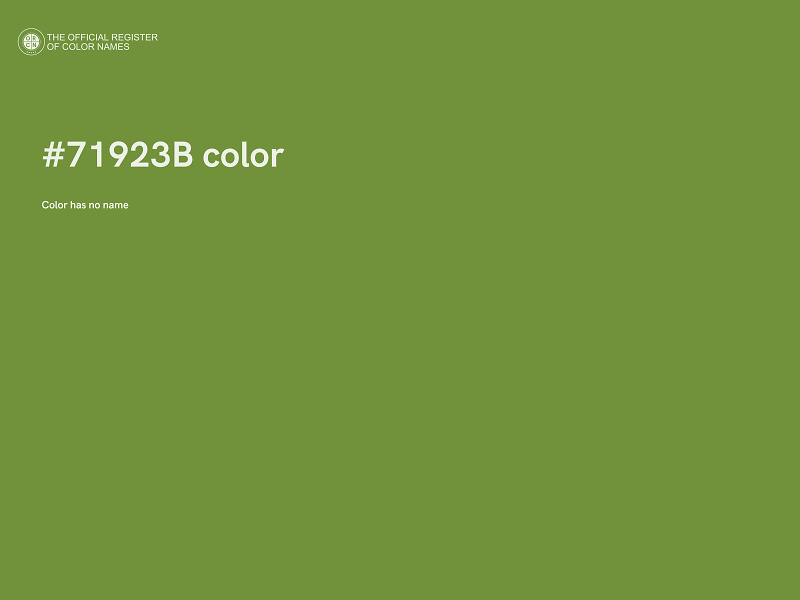 #71923B color image