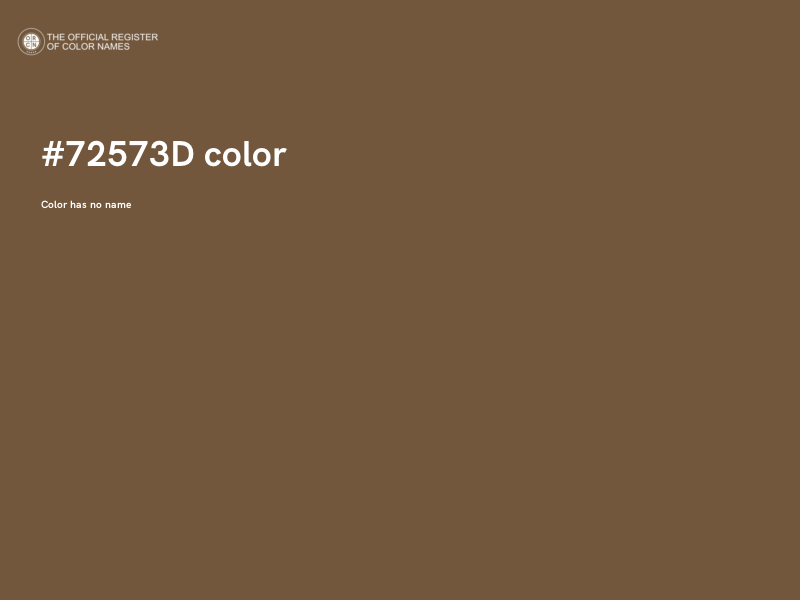#72573D color image