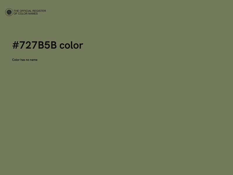 #727B5B color image