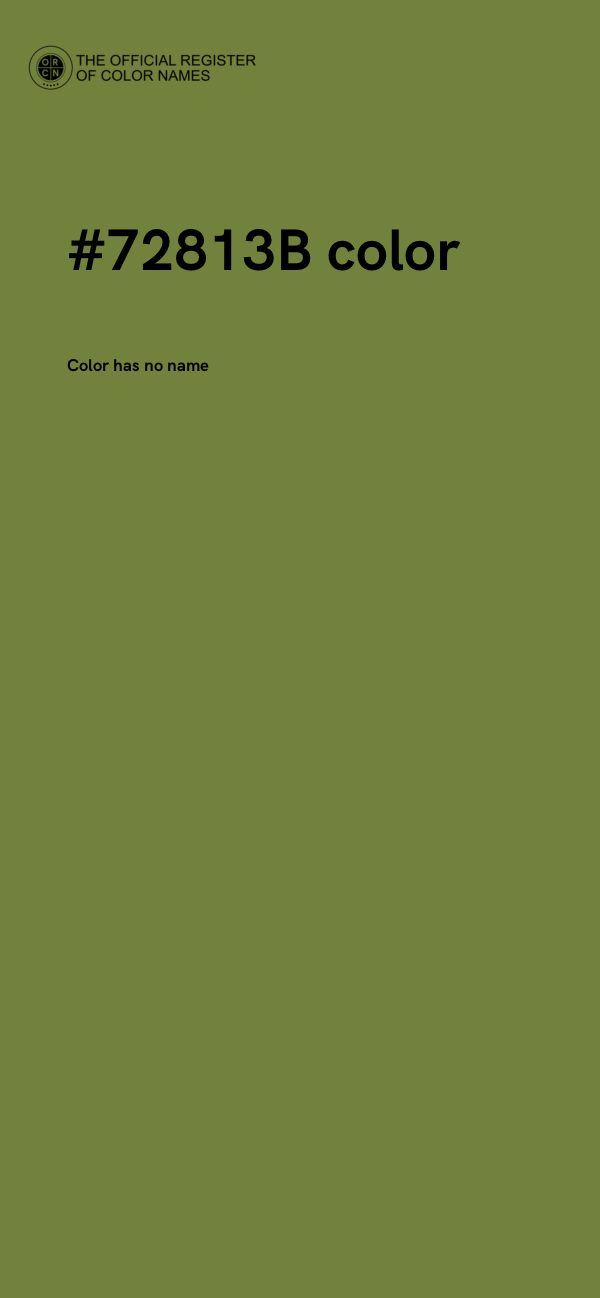 #72813B color image