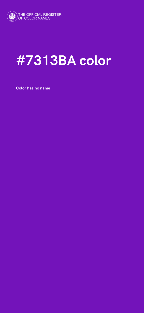 #7313BA color image