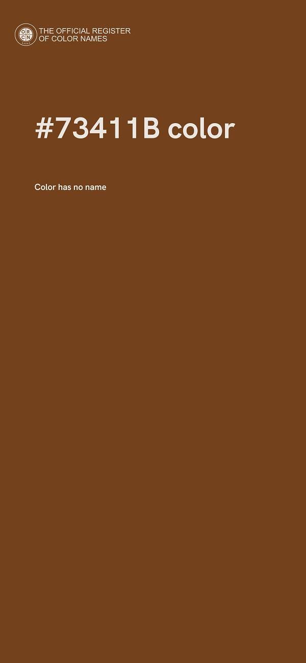 #73411B color image