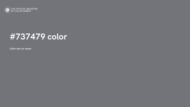 #737479 color image