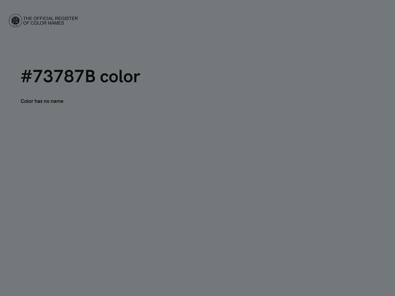 #73787B color image