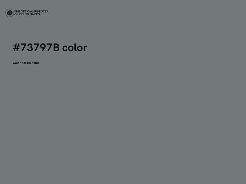 #73797B color image