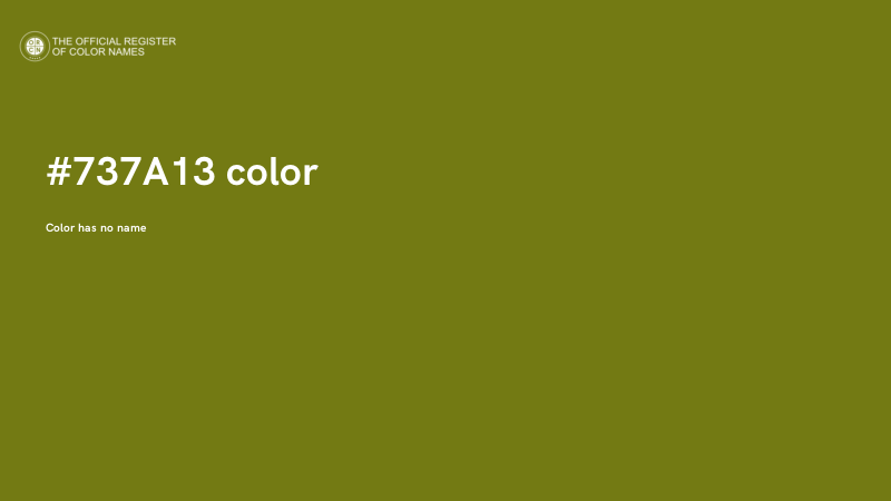 #737A13 color image