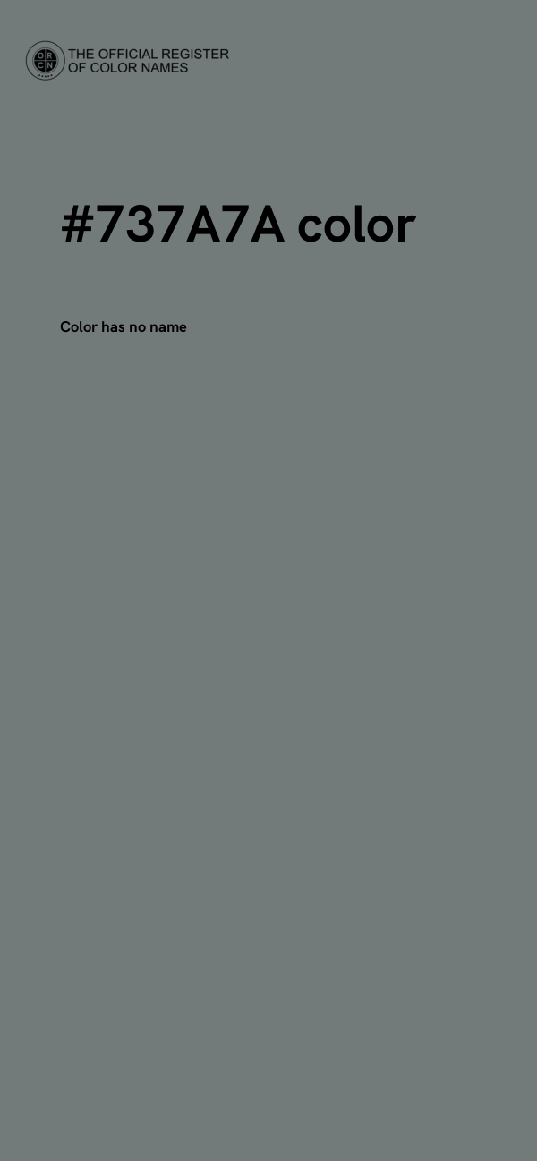 #737A7A color image