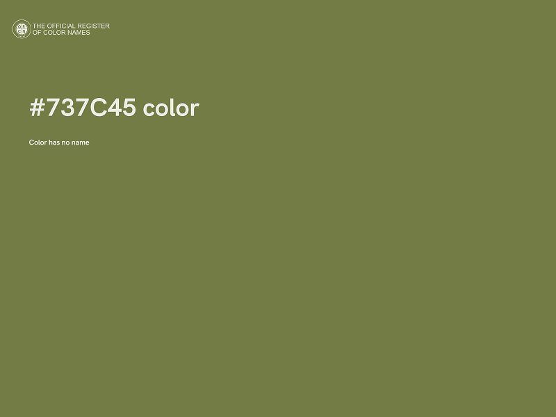 #737C45 color image