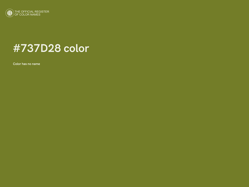 #737D28 color image