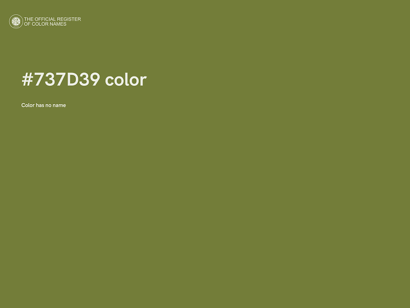 #737D39 color image