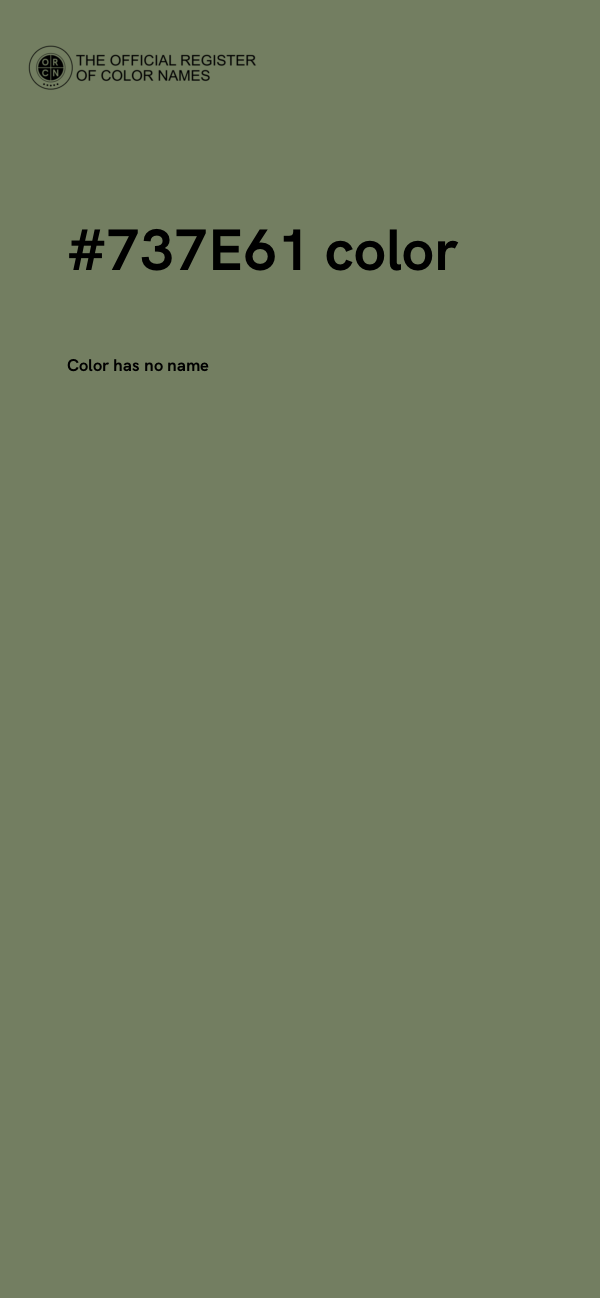 #737E61 color image