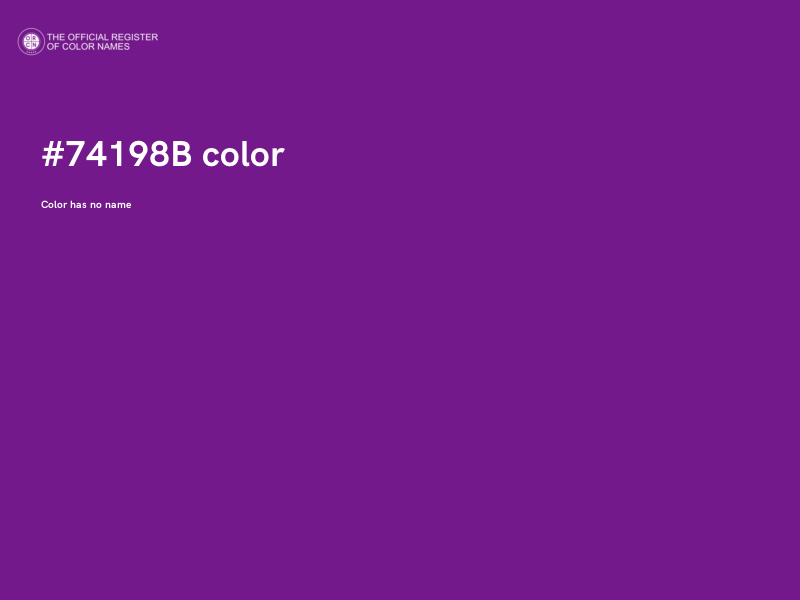 #74198B color image