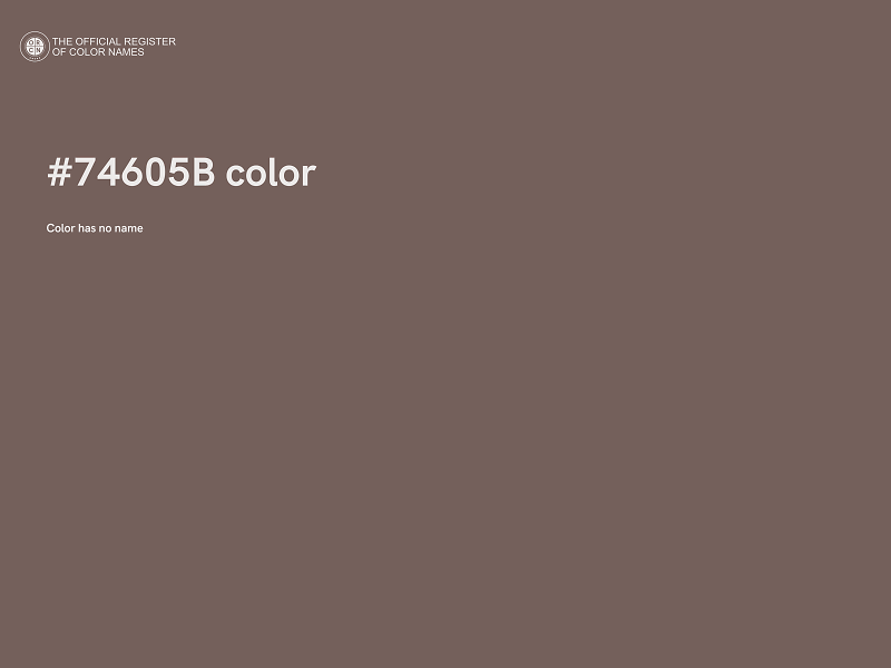 #74605B color image