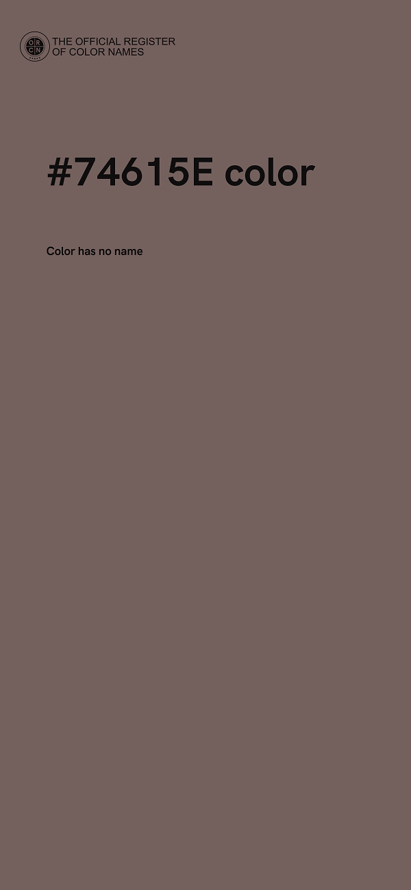 #74615E color image