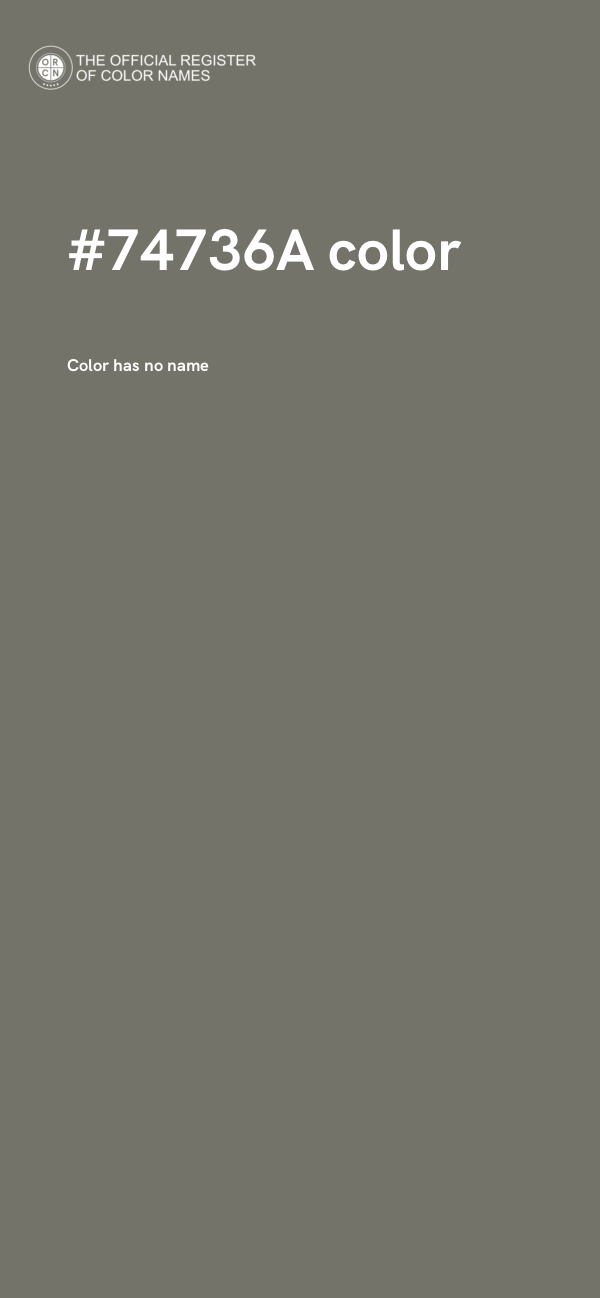 #74736A color image