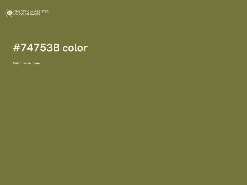 #74753B color image